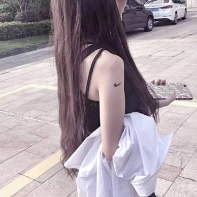 喵乱后宫游戏下载